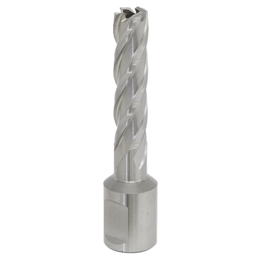 [RBHSS12L] Worksafe® 12mm HSS Mag Drill Bit Cut Depth 50mm