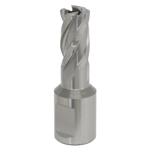 [RBHSS12S] Worksafe® 12mm HSS Mag Drill Bit Cut Depth 25mm