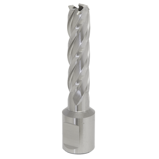 [RBHSS13L] Worksafe® 13mm HSS Mag Drill Bit Cut Depth 50mm