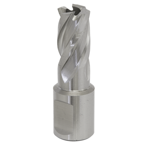 [RBHSS15S] Worksafe® 15mm HSS Mag Drill Bit Cut Depth 25mm
