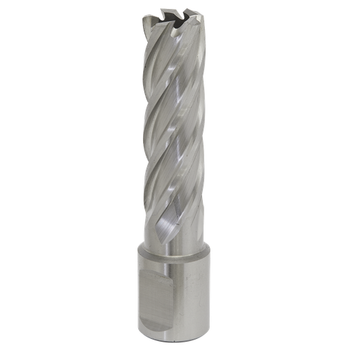 [RBHSS16L] Worksafe® 16mm HSS Mag Drill Bit Cut Depth 50mm