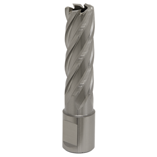 [RBHSS17L] Worksafe® 17mm HSS Mag Drill Bit Cut Depth 50mm