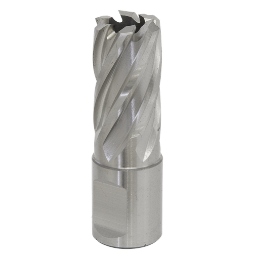 [RBHSS17S] Worksafe® 17mm HSS Mag Drill Bit Cut Depth 25mm