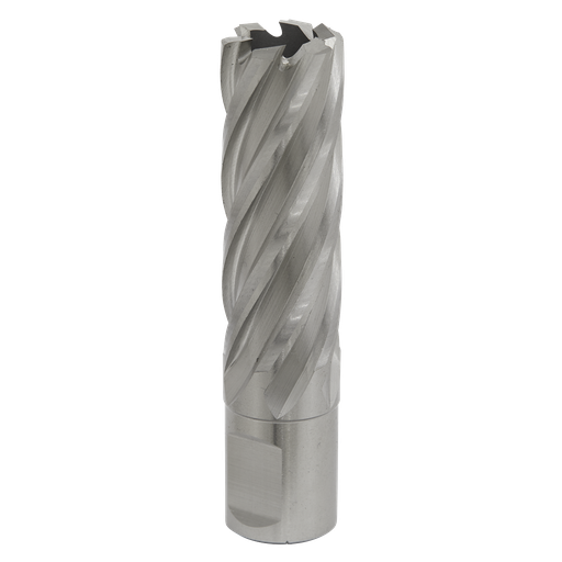 [RBHSS20L] Worksafe® 20mm HSS Mag Drill Bit Cut Depth 50mm