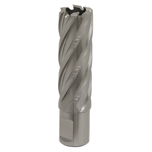 [RBHSS21L] Worksafe® 21mm HSS Mag Drill Bit Cut Depth 50mm
