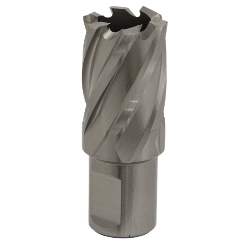 [RBHSS22S] Worksafe® 22mm HSS Mag Drill Bit Cut Depth 25mm
