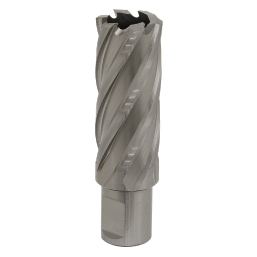 [RBHSS24L] Worksafe® 24mm HSS Mag Drill Bit Cut Depth 50mm