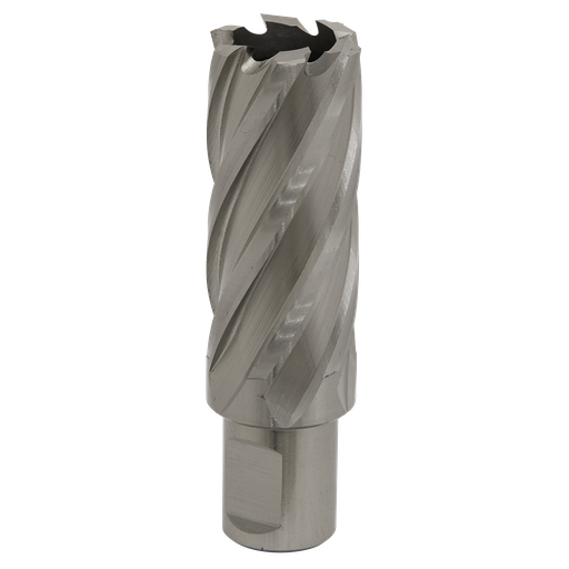 [RBHSS25L] Worksafe® 25mm HSS Mag Drill Bit Cut Depth 50mm