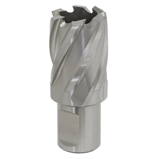 [RBHSS25S] Worksafe® 25mm HSS Mag Drill Bit Cut Depth 25mm