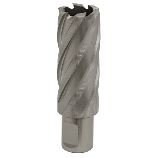 [RBHSS26L] Worksafe® 26mm HSS Mag Drill Bit Cut Depth 50mm