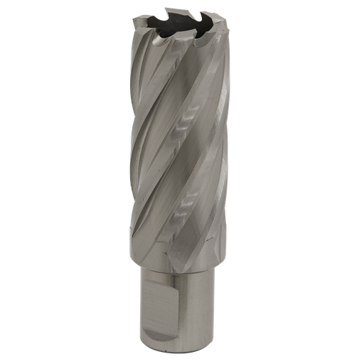 [RBHSS27L] Worksafe® 27mm HSS Mag Drill Bit Cut Depth 50mm