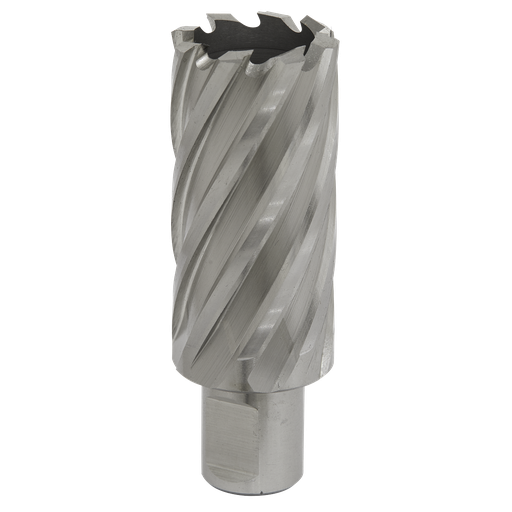[RBHSS30L] Worksafe® 30mm HSS Mag Drill Bit Cut Depth 50mm