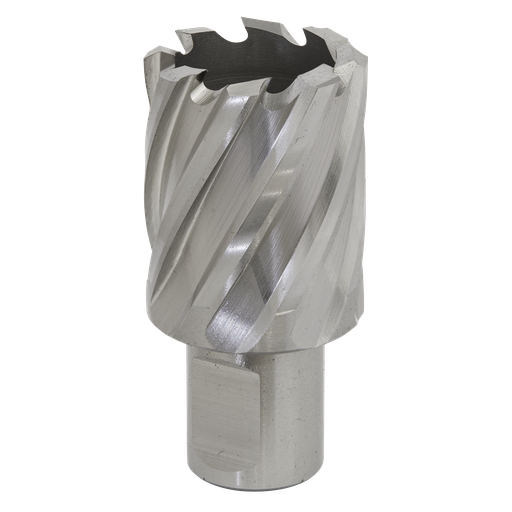 [RBHSS30S] Worksafe® 30mm HSS Mag Drill Bit Cut Depth 25mm