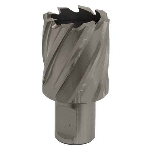[RBHSS31S] Worksafe® 31mm HSS Mag Drill Bit Cut Depth 25mm