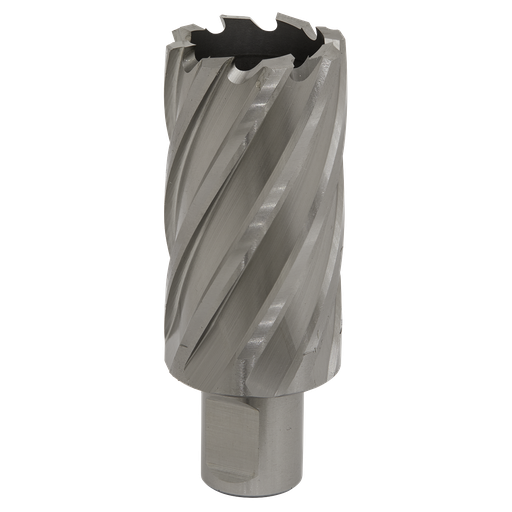 [RBHSS33L] Worksafe® 33mm HSS Mag Drill Bit Cut Depth 50mm