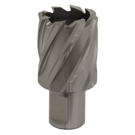 [RBHSS33S] Worksafe® 33mm HSS Mag Drill Bit Cut Depth 25mm