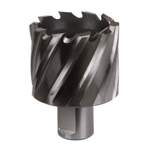 [RBHSS46S] Worksafe® 46mm HSS Mag Drill Bit Cut Depth 25mm