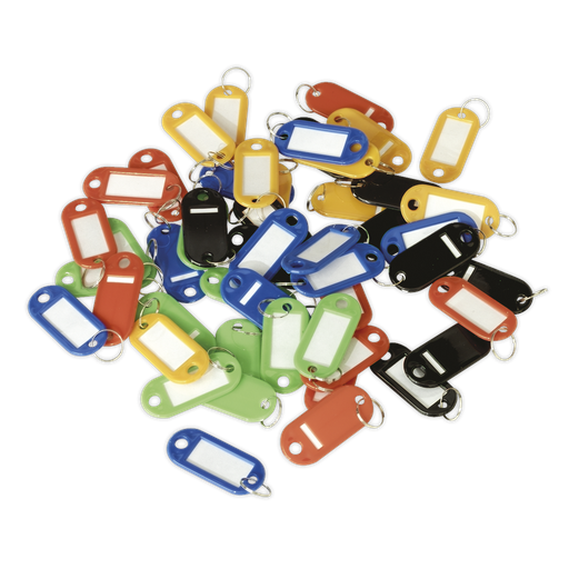 [SKTAG50] Key Tag Assortment 50pc