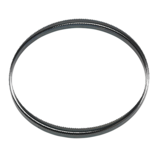 [SM1304B10] 10tpi Bandsaw Blade 1712 x 10mm x 0.35mm