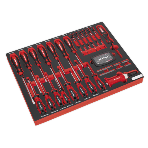 [TBTP04] Premier Platinum Screwdriver Set with Tool Tray 72pc