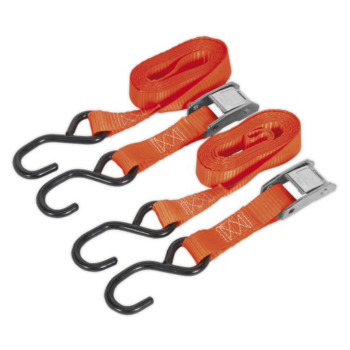 [TD05025CS] Cam Buckle Strap Polyester Webbing with S-Hooks 25mm x 2.5m 500kg Breaking Strength