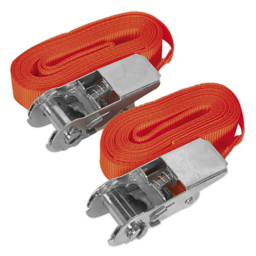 [TD05045E] Self-Securing Ratchet Straps 25mm x 4.5m 500kg Breaking Strength - Pair