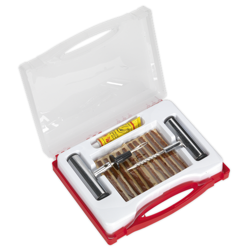 [TST10] Temporary Puncture Repair Kit