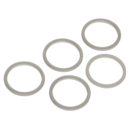 [VS17SPW] Sump Plug Washer M17 - Pack of 5