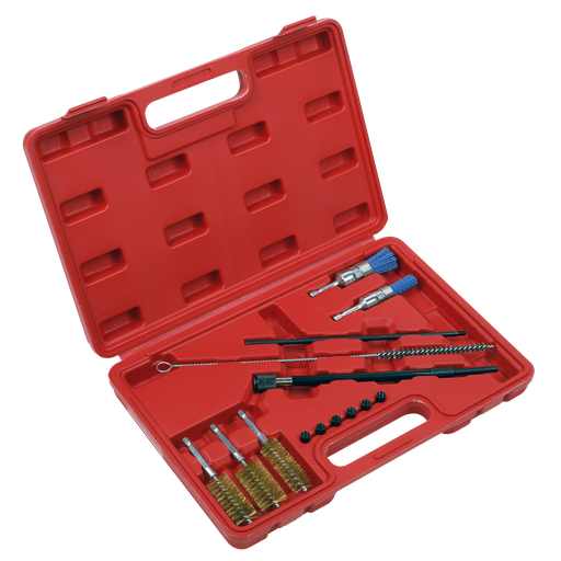 [VS1900] Injector Bore Cleaning Brush Set 14pc
