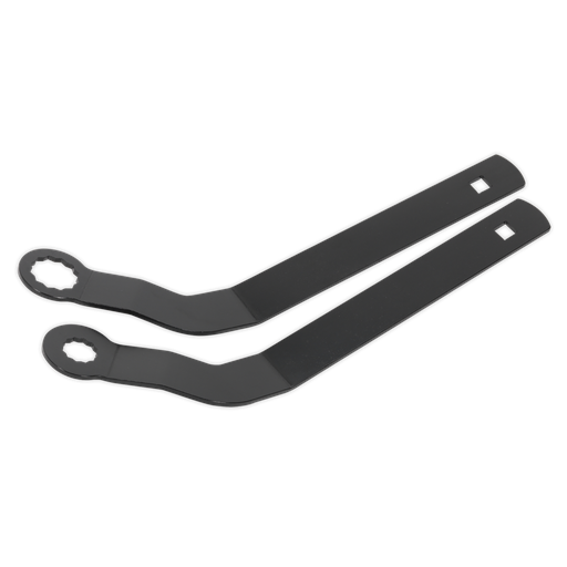 [VSE6211] Auxiliary Belt Tensioner Spanner Set for BMW Mini N12/N14/N16/N18 - Chain Drive