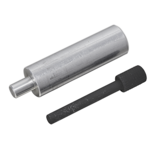 [VSE6712] Camshaft Pulley Alignment Pins - for Ford 2.0D