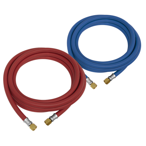 [WH10] Oxy Acetylene Welding Hose Set 10m