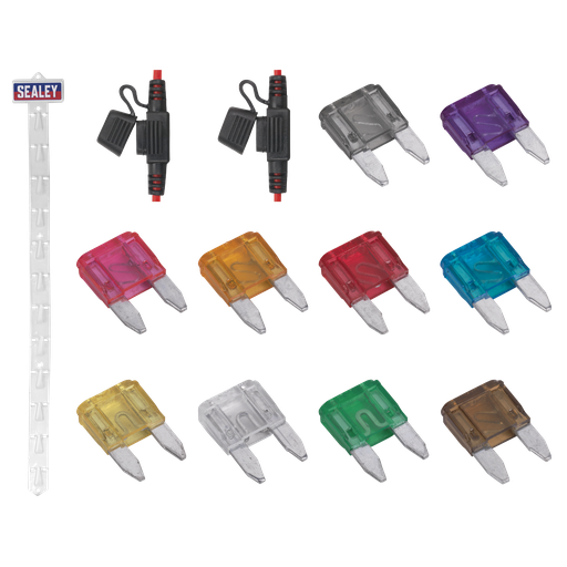 [MBFSET] Clip Strip Deal - Automotive Mini Blade Fuses & Holders