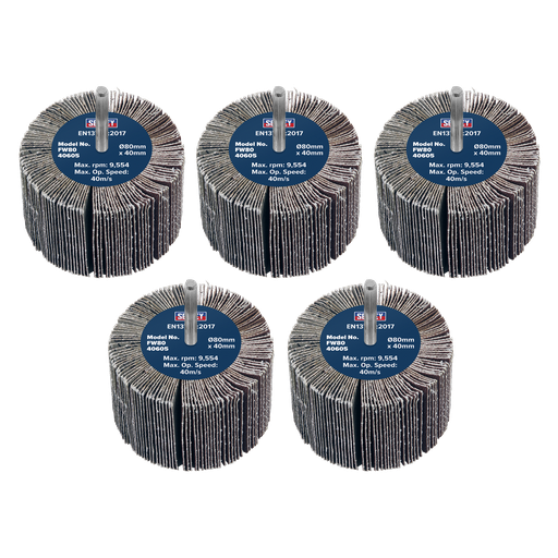 [FW8040605] 80 x 40mm Abrasive Flap Wheel on 6mm Shaft 60Grit - Pack of 5
